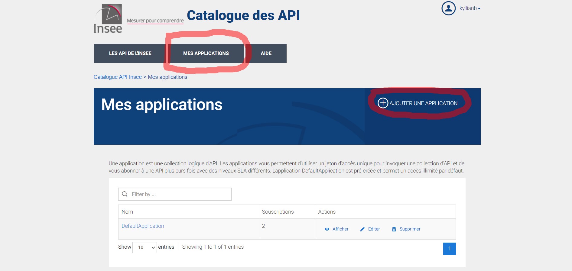 application insee api